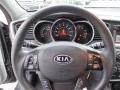 Platinum Graphite - Optima LX Photo No. 17