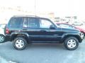 2004 Black Clearcoat Jeep Liberty Limited 4x4  photo #4