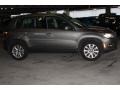 2009 Alpine Grey Metallic Volkswagen Tiguan S  photo #6