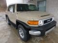 Quicksand - FJ Cruiser 4WD Photo No. 7
