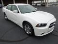 Ivory Pearl - Charger SE Photo No. 1