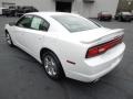 Ivory Pearl - Charger SE Photo No. 4