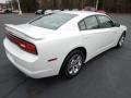 Ivory Pearl - Charger SE Photo No. 5