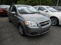 2010 Medium Gray Chevrolet Aveo LT Sedan  photo #1