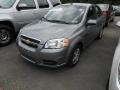 2010 Medium Gray Chevrolet Aveo LT Sedan  photo #2