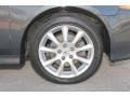 Carbon Gray Pearl - TSX Sedan Photo No. 25