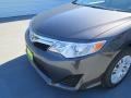 Magnetic Gray Metallic - Camry LE Photo No. 9