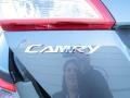 Magnetic Gray Metallic - Camry LE Photo No. 13