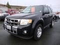 2011 Tuxedo Black Metallic Ford Escape Limited V6  photo #3