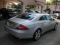Iridium Silver Metallic - CLS 550 Photo No. 2