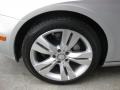 Iridium Silver Metallic - CLS 550 Photo No. 23