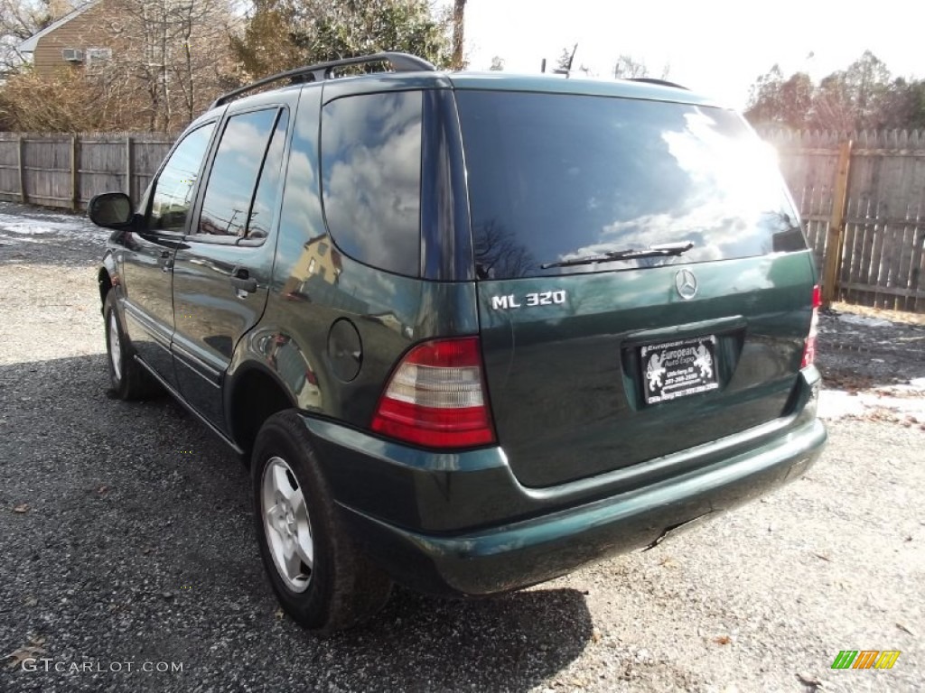 2001 ML 320 4Matic - Cypress Green Metallic / Charcoal photo #4