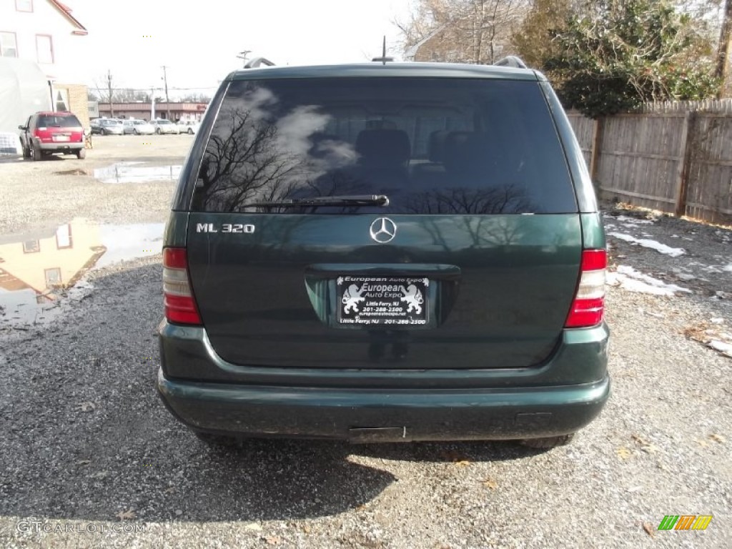 2001 ML 320 4Matic - Cypress Green Metallic / Charcoal photo #5