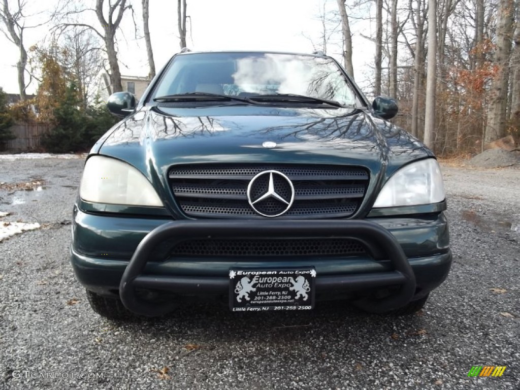 2001 ML 320 4Matic - Cypress Green Metallic / Charcoal photo #8