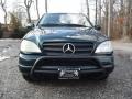 2001 Cypress Green Metallic Mercedes-Benz ML 320 4Matic  photo #8