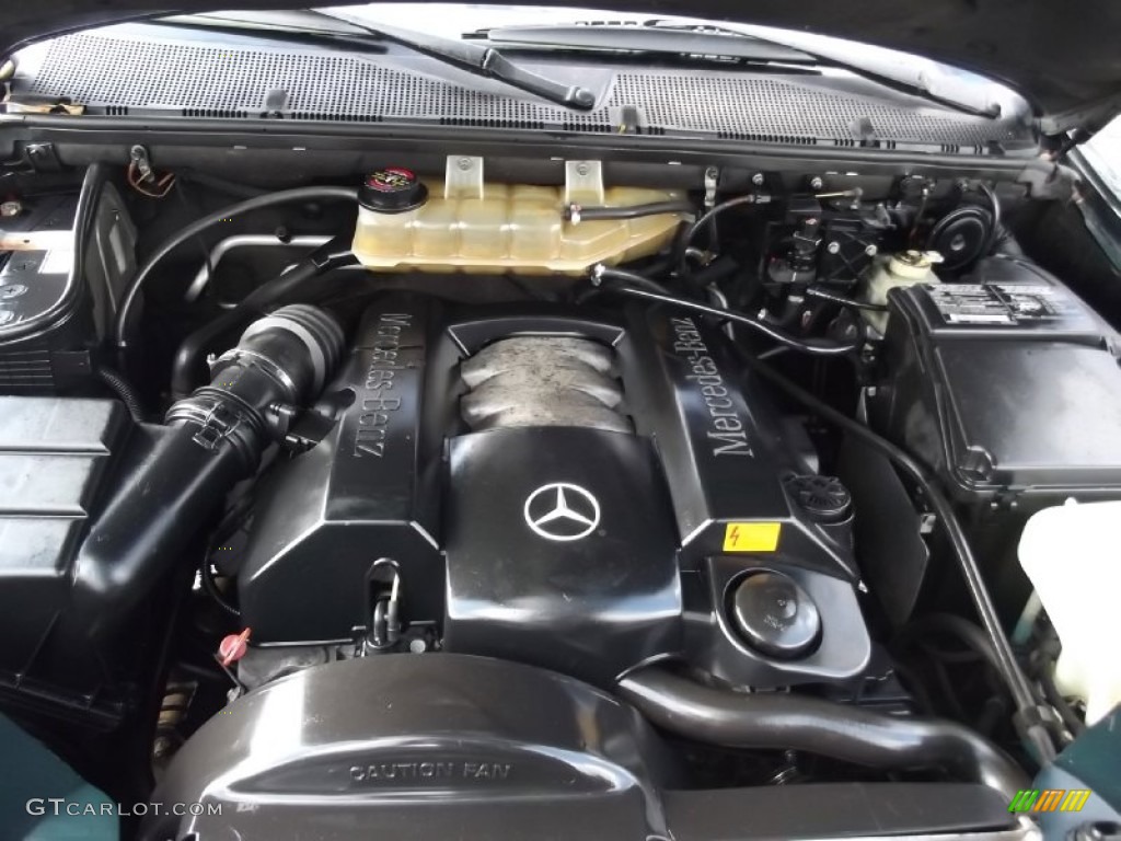 2001 ML 320 4Matic - Cypress Green Metallic / Charcoal photo #9