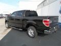 2013 Kodiak Brown Metallic Ford F150 XLT SuperCrew  photo #4