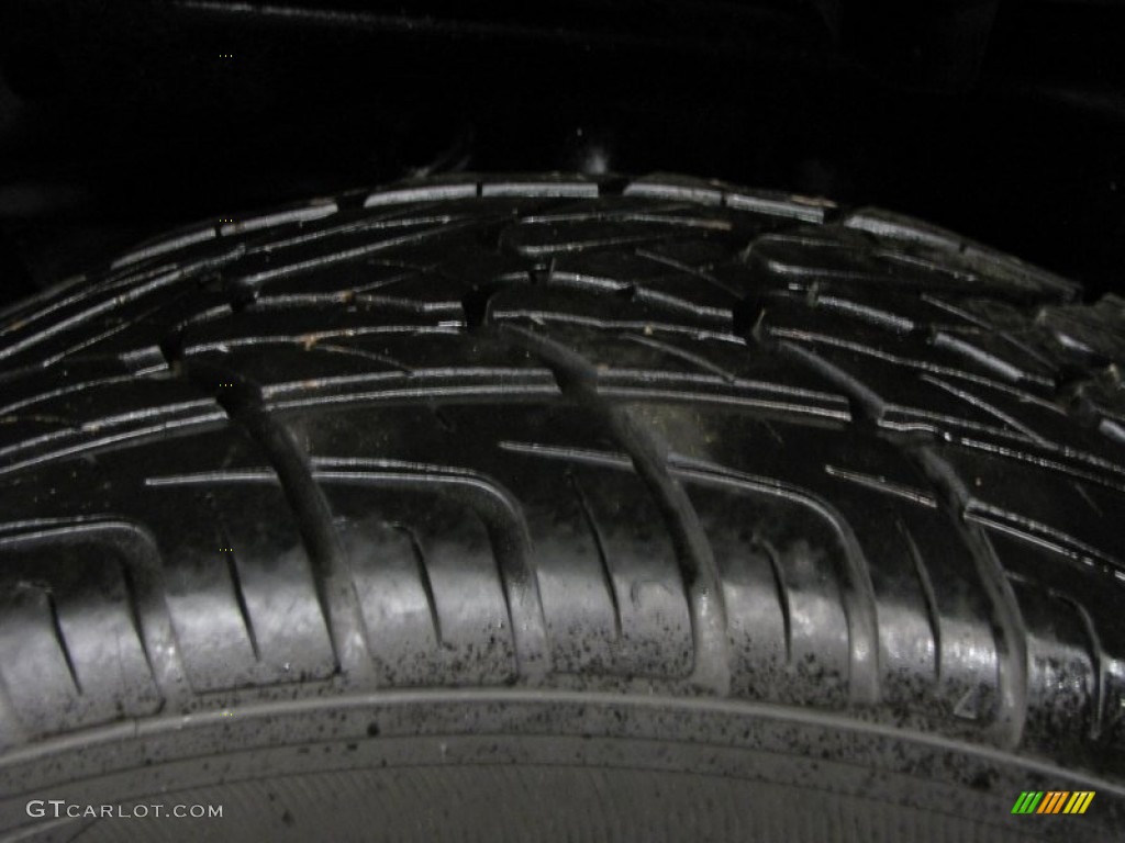 2006 F150 FX4 SuperCrew 4x4 - Dark Shadow Grey Metallic / Black photo #30