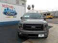 Sterling Gray Metallic - F150 FX2 SuperCrew Photo No. 1