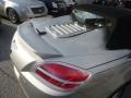 Silver Pearl - Sky Red Line Roadster Photo No. 29