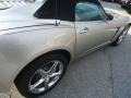Silver Pearl - Sky Red Line Roadster Photo No. 30