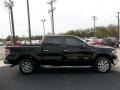 2013 Green Gem Metallic Ford F150 XLT SuperCrew  photo #10