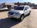 Quicksilver Metallic - Acadia SLE Photo No. 1