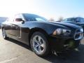 Pitch Black - Charger SE Photo No. 4