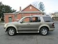 Mineral Grey Metallic - Explorer Eddie Bauer 4x4 Photo No. 3