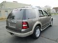 Mineral Grey Metallic - Explorer Eddie Bauer 4x4 Photo No. 7
