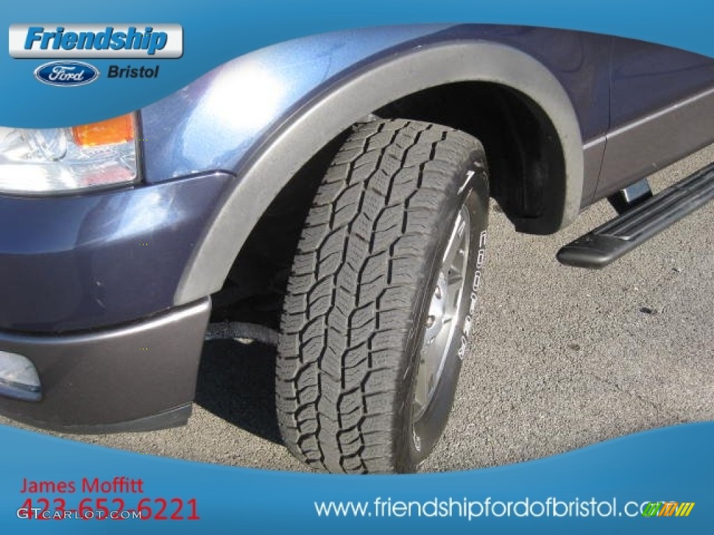 2004 F150 FX4 SuperCrew 4x4 - Medium Wedgewood Blue Metallic / Medium/Dark Flint photo #10