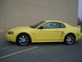 2003 Zinc Yellow Ford Mustang V6 Coupe  photo #8