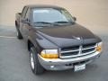 2003 Black Dodge Dakota SLT Quad Cab 4x4  photo #11