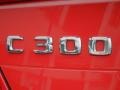 2010 Mercedes-Benz C 300 Sport Marks and Logos