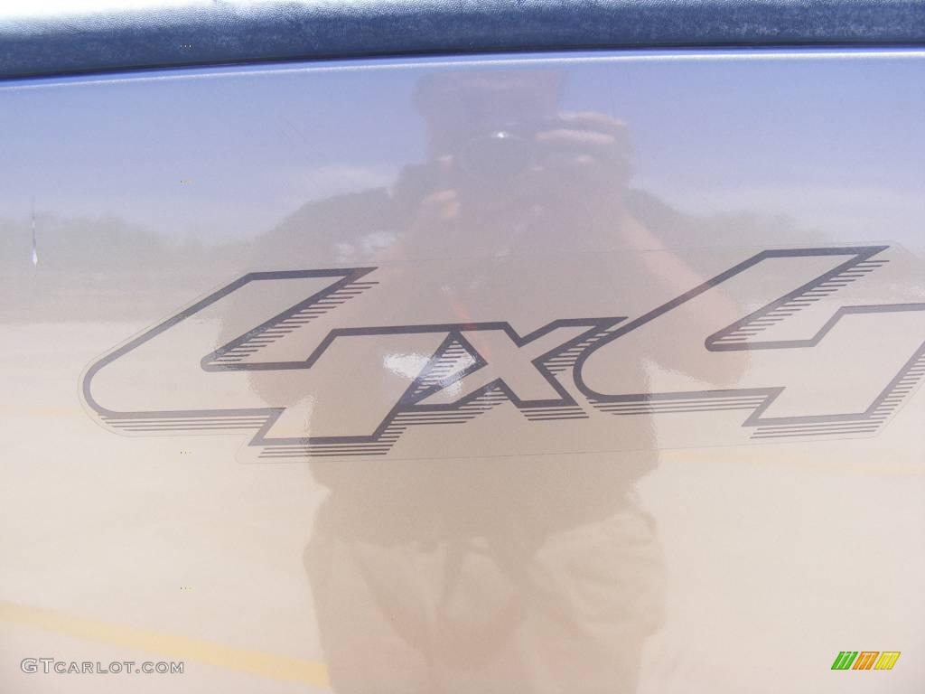 2004 F150 Lariat SuperCrew 4x4 - Arizona Beige Metallic / Black/Medium Flint photo #13