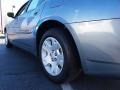 Silver Steel Metallic - Charger SE Photo No. 4