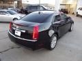 Black Raven - CTS 3.0 Sedan Photo No. 3