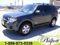 2008 Black Pearl Slate Metallic Ford Escape XLS  photo #1