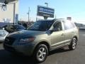 Platinum Sage - Santa Fe GLS 4WD Photo No. 1