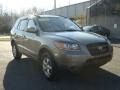 Platinum Sage - Santa Fe GLS 4WD Photo No. 2