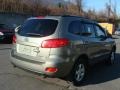 Platinum Sage - Santa Fe GLS 4WD Photo No. 3