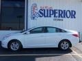 Shimmering White - Sonata GLS Photo No. 4