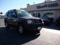 Night Armor Dark Gray - Xterra S Photo No. 2