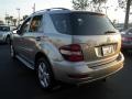 2009 Pewter Metallic Mercedes-Benz ML 350  photo #13