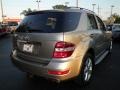 2009 Pewter Metallic Mercedes-Benz ML 350  photo #19