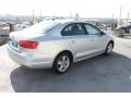 Reflex Silver Metallic - Jetta TDI Sedan Photo No. 7