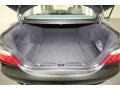Gray Trunk Photo for 2010 BMW 5 Series #74126282