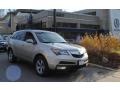 Palladium Metallic - MDX SH-AWD Technology Photo No. 1