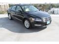 Black - Passat 2.5L SEL Photo No. 1