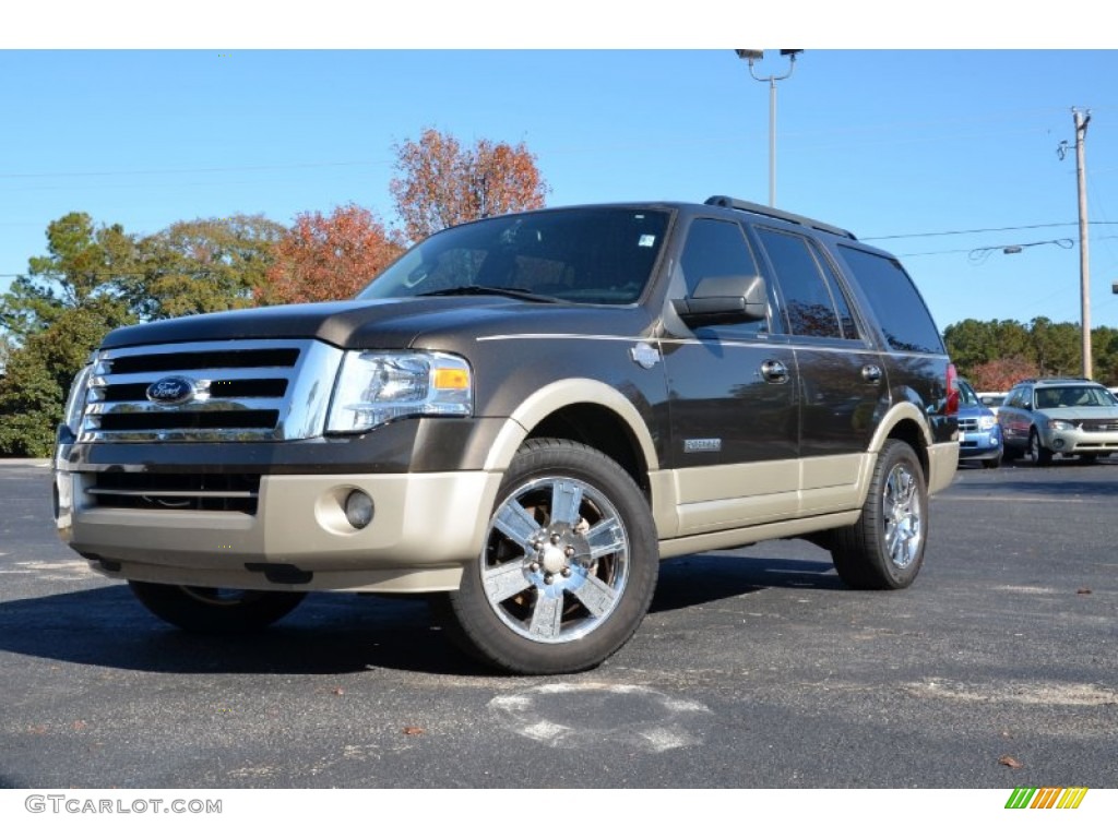 Stone Green Metallic 2008 Ford Expedition King Ranch Exterior Photo #74131984